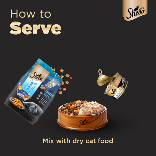 Sheba Complete Nutrition Succulent Chicken Breast In Gravy Cat Wet Food and Chicken Flavour Irresistible All Life Stage Cat Dry Food Combo