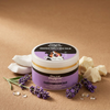 Doctor Doglittle Probiotic Cracked Paws and Nose Balm with Shea Butter for Dogs Dogs-Grooming Supplies Doctor Doglittle Dropship