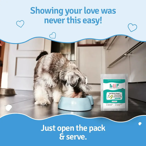 BLEP Fish Beans Pawer Dog Wet Food (100g)