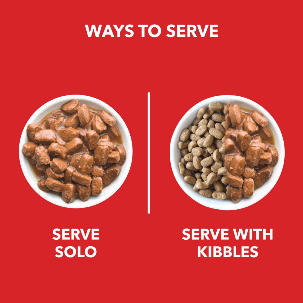 Drools Focus Super Premium Dry Food and Chicken & Liver Chunks in Gravy Adult Dog Wet Food Combo Exclusive Combo Exclusive Combo