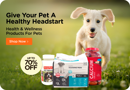 Online Pet Store Shop Pet Supplies and Products Supertails