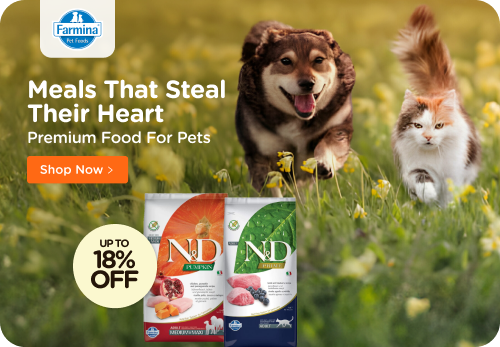 International pet shop sales online