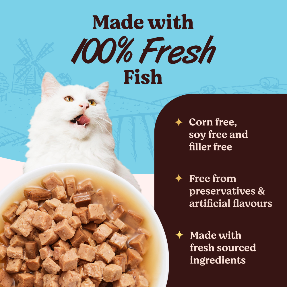 Kennel Kitchen Fish Chunks in Gravy Kitten and Adult Cat Wet Food (All Life Stage)