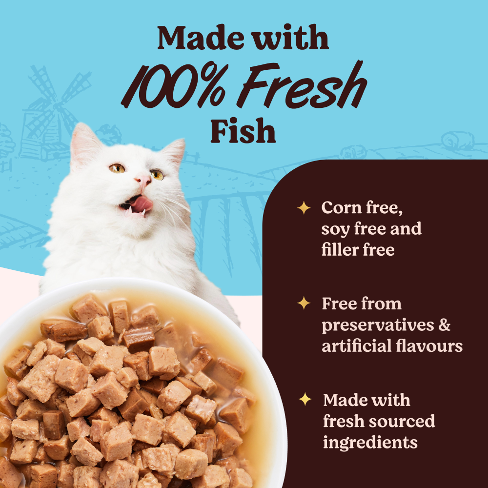 Kennel Kitchen Fish Gravy All Life Stage Wet Food, Scoopy Lavender Natural Brown Sand Cat Litter Combo Exclusive Combo Exclusive Combo