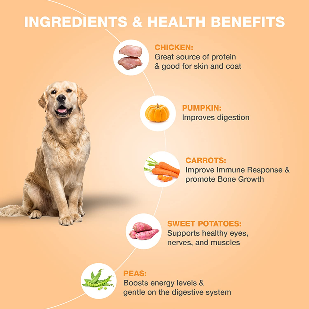 Bennys Bowl Chicken and Pumpkin Dog Fresh and Wet Food Dogs-Fresh Food Bennys Bowl