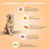 Bennys Bowl Lamb and French Beans & Chicken and Pumpkin Dog Fresh and Wet Food Combo Dogs-Fresh Food Bennys Bowl