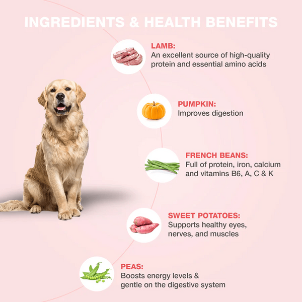 Bennys Bowl Lamb and French Beans & Chicken and Pumpkin Dog Fresh and Wet Food Combo