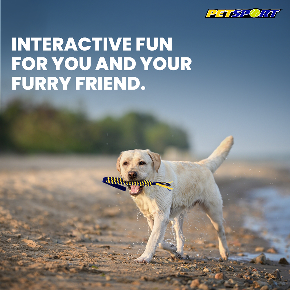 Petsport Twisted Chew Spring Tug Toy for Dogs