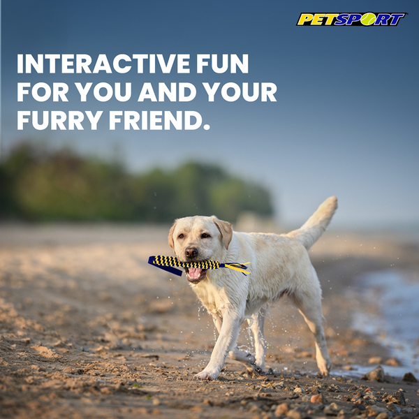 Petsport Twisted Chew Spring Tug Toy for Dogs