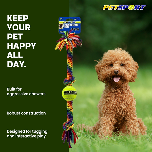 Petsport Kaleidoscope Rope Tug Ball for Dogs