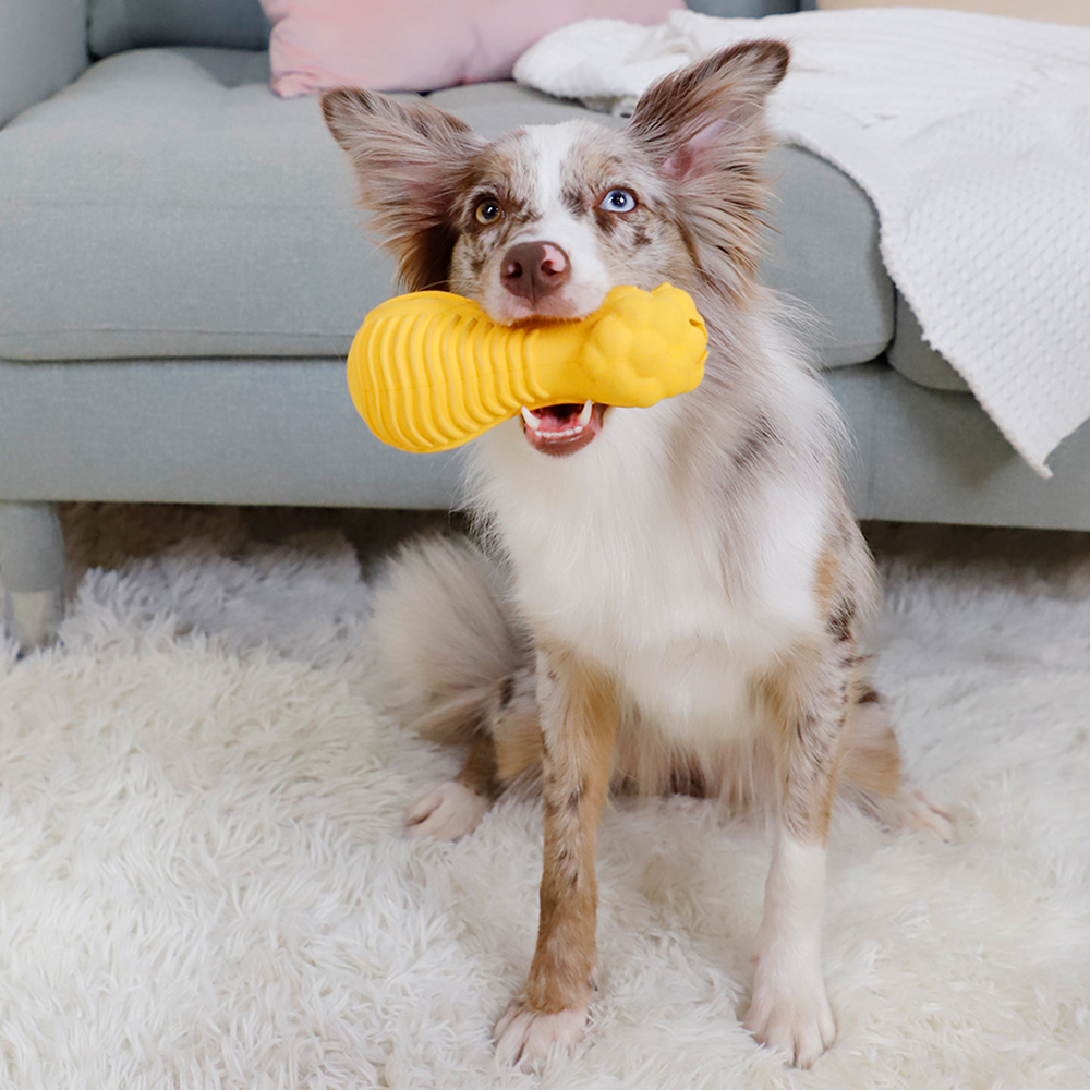 GiGwi Dumbbell Lion Heads Toy for Dogs (Yellow) Dogs-Toys GiGwi