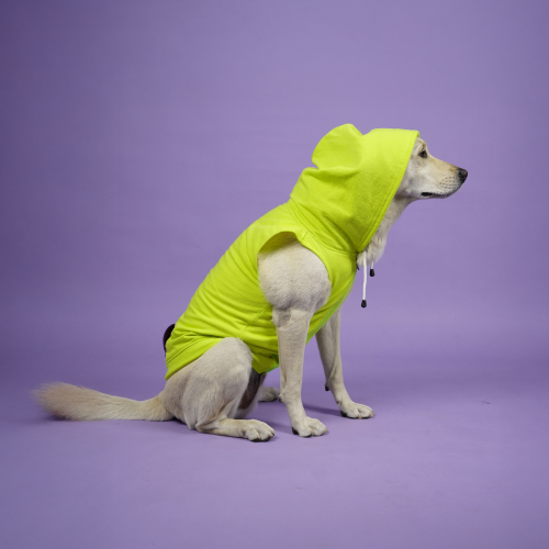 Skatrs Galaxy Breezy Hoodies with Pockets for Dogs and Cats (Green)