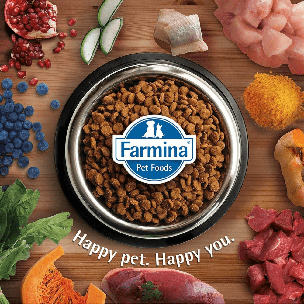 Farmina N&D Prime Chicken & Pomegranate Grain Free Adult Cat Dry Food Cats- Dry food Farmina N&D