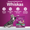 Whiskas Tuna Flavour Adult Cat Dry Food Cats- Dry food Whiskas