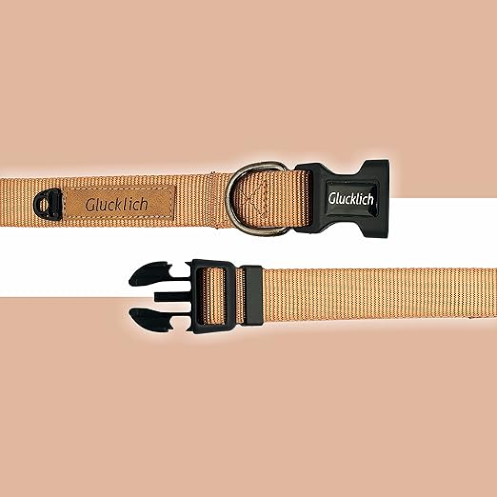 Glucklich Classic Nylon Martingale Adjustable Collar for Dogs (Brown)