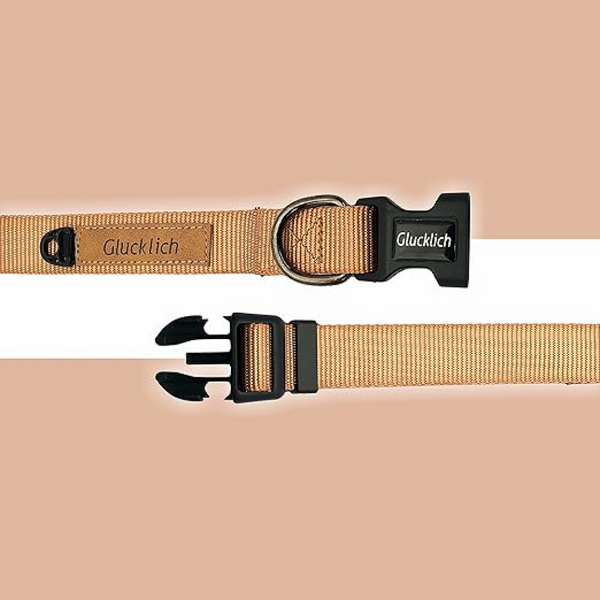 Glucklich Classic Nylon Martingale Adjustable Collar for Dogs (Brown)