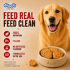 Drools Chicken and Egg Biscuit Dog Treats Dog Treats + Others Drools