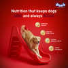 Drools Lamb and Rice Adult Dog Dry Food Dogs- Dry Food Drools