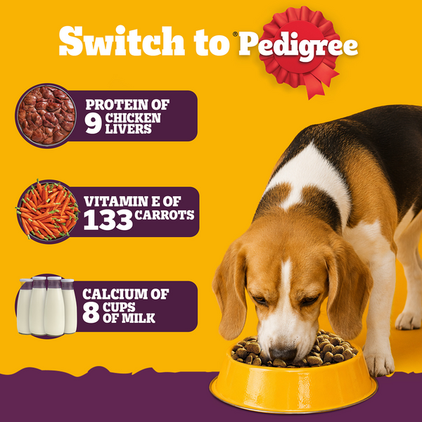 Pedigree New Healthy Belly Adult Dog Dry Food