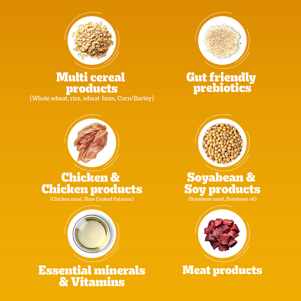 Pedigree Chicken Biryani Flavour Adult Dog Dry Food