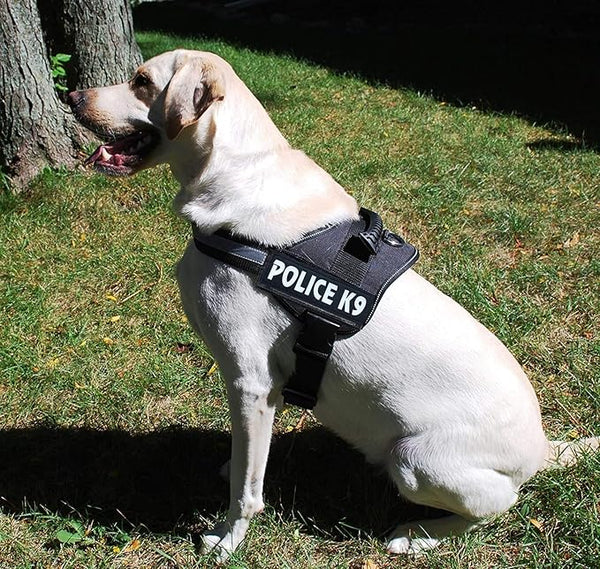 Skatrs Police K9 Harness for Dogs (Red)
