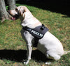 Skatrs Police K9 Harness for Dogs (Orange) Both-Collar, Leashes, harnesses Skatrs