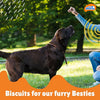 Novee Joint and Bone Support Biscuit Dog Treats Dog Treats + Others Novee