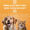 Bark Out Loud Glow and Shine Turmeric and Immunity Multi Vitamin Chew Stix for Dogs and Cats Combo Dog Treats + Others Bark Out Loud