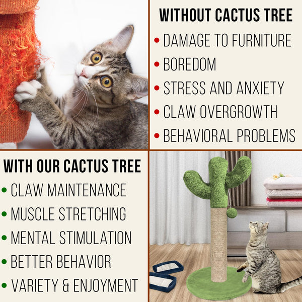 Furrlovers Cactus Scratching Post with Rope Wrapped Climbing Tower & Plush Top for Cats (Green)