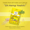 Bark Out Loud Skin & Coat Hemp and Immunity Multi Vitamin Chew Stix for Dogs and Cats Combo Dog Treats + Others Bark Out Loud