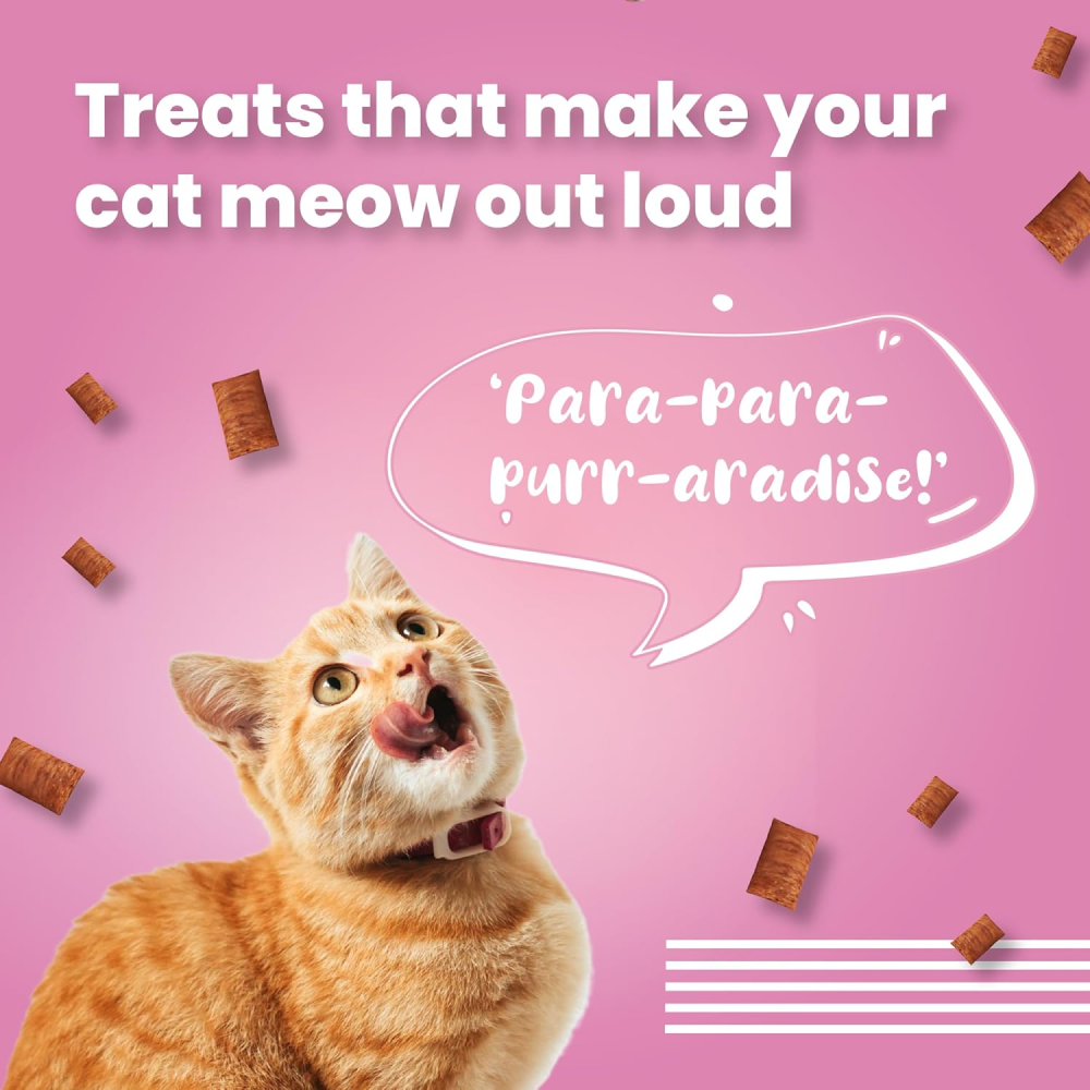 Bark Out Loud by Vivaldis Hairball Control and Sensitive Gut Pillow Cat Treats Combo Cats-Treats & Others Bark Out Loud