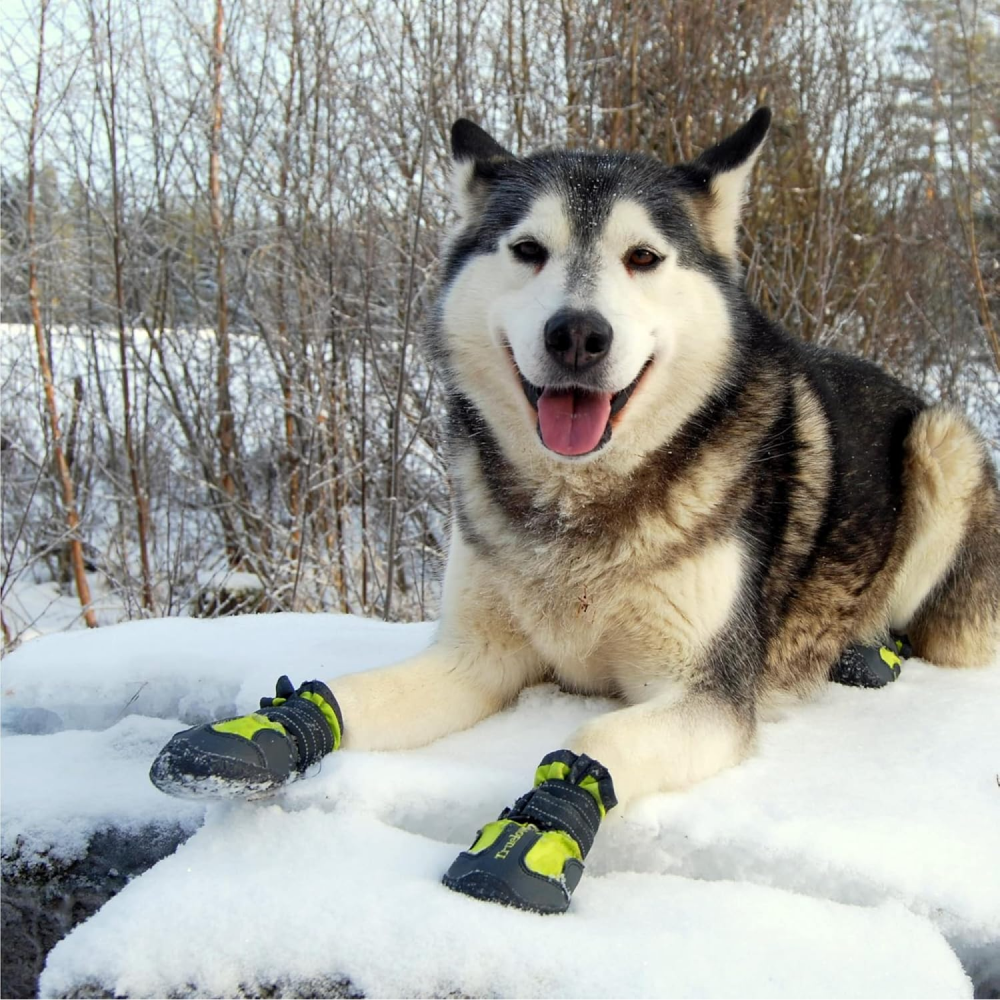 Truelove Waterproof Pet Boots for Dogs (Neon Yellow, Set of 4) Dogs-Clothing & Accessories True Love