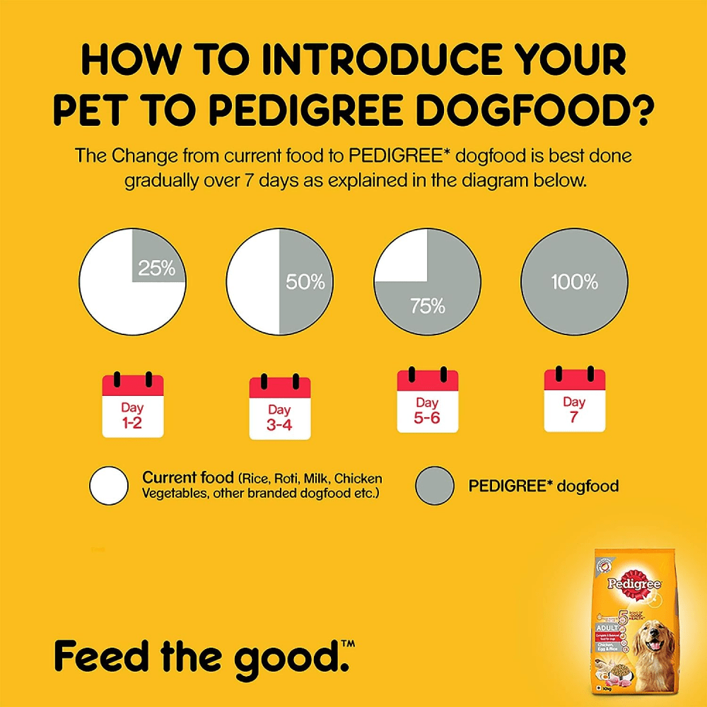 Pedigree Chicken, Egg and Rice and Chicken and Liver Chunks in Gravy Adult Dry and Wet Food Combo