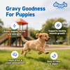 Drools Real Chicken & Chicken Liver Chunks in Gravy Puppy Dog Wet Food Dogs-Wet Food Drools