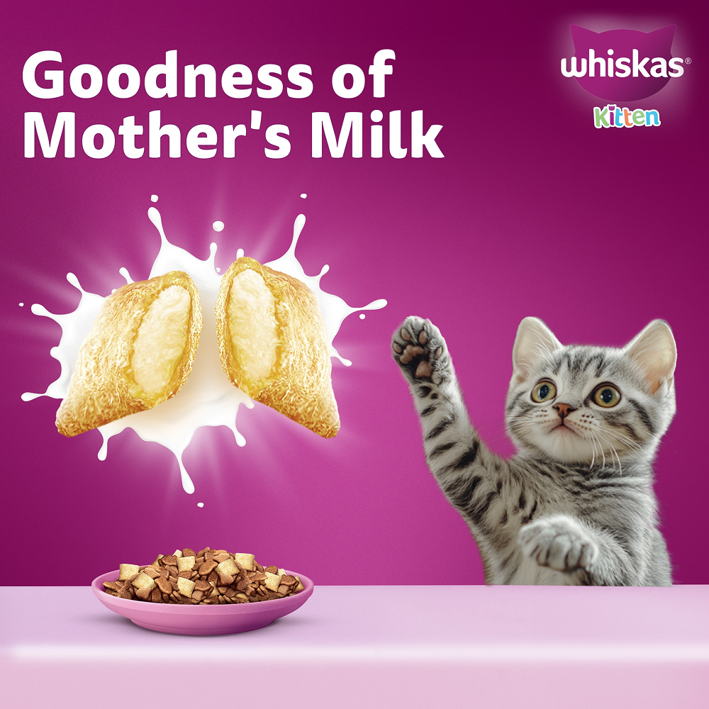 Whiskas Mackerel Flavour Kitten (2 to 12 months)Cat Dry Food Cats- Dry food Whiskas