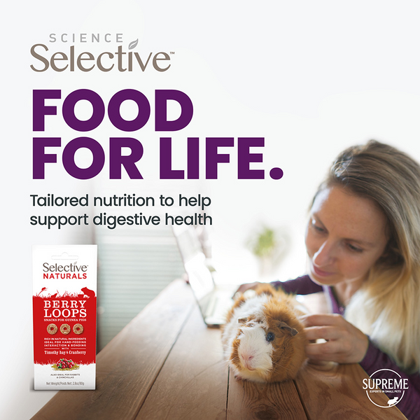 Selective Naturals Berry Loops for Guinea Pigs