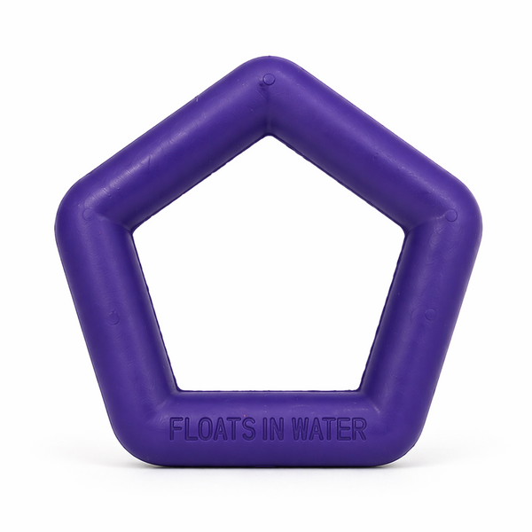 Talking Dog Club Sturdy Hexagon Floater Chew Toy for Dogs (Purple)