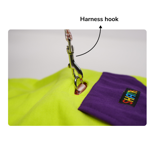 Skatrs Galaxy Breezy Hoodies with Pockets for Dogs and Cats (Green) Both-Clothing & Accessories Skatrs