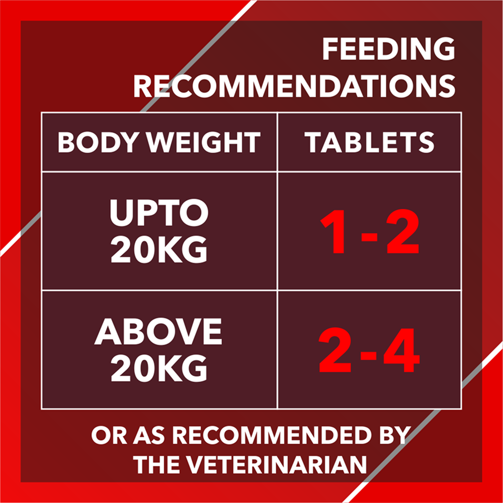 Drools Absolute Calcium Dog Supplement Tablets Rewards Dogs-Health & Wellness Drools