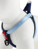 GiGwi Premium Line Harness for Dogs (Blue) Dogs-Collar, Leashes, harnesses GiGwi