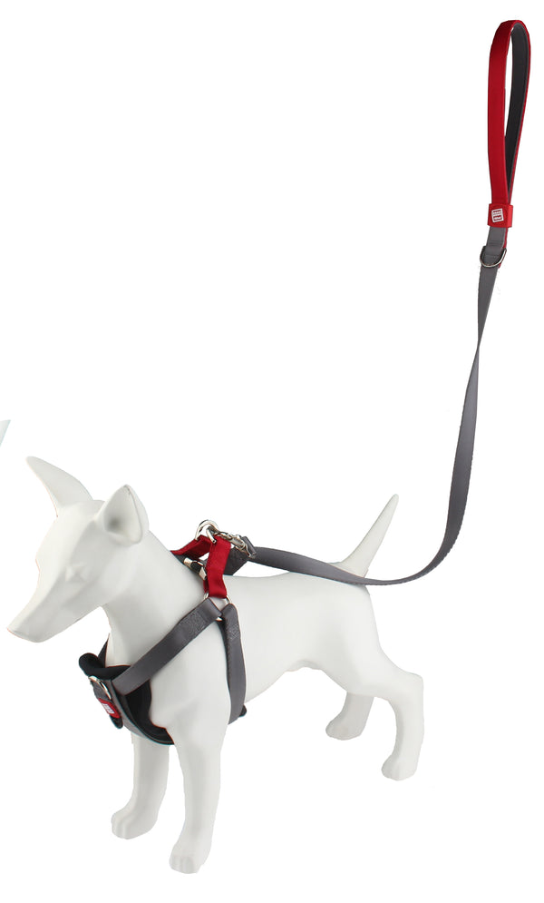 GiGwi Premium Line Harness for Dogs (Grey)