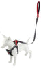 GiGwi Premium Line Harness for Dogs (Grey) Dogs-Collar, Leashes, harnesses GiGwi L
