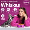 Whiskas Ocean Fish Flavour Adult Cat Dry Food Cats- Dry food Whiskas
