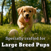 Pedigree PRO Expert Nutrition for Large Breed Puppy (3 to 18 Months) Dog Dry Food Dogs- Dry Food Pedigree PRO