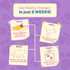 Smylo Chicken, Liver and Pomergranate Fresh and No Preservative Kitten Cat Wet Food Cats-Wet Food Smylo
