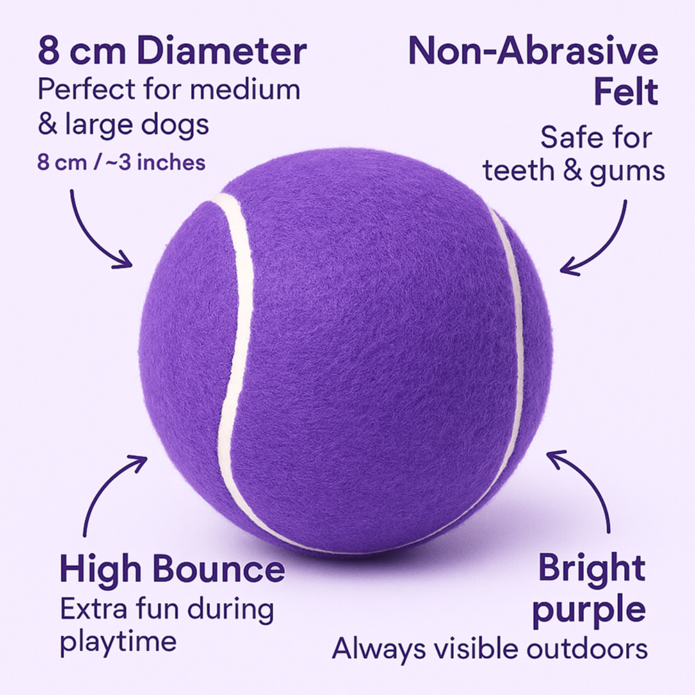 Talking Dog Club Tennis Ball Toy for Dogs (Purple) Dogs-Toys Talking Dog Club Dropship