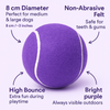 Talking Dog Club Tennis Ball Toy for Dogs (Purple) Dogs-Toys Talking Dog Club Dropship