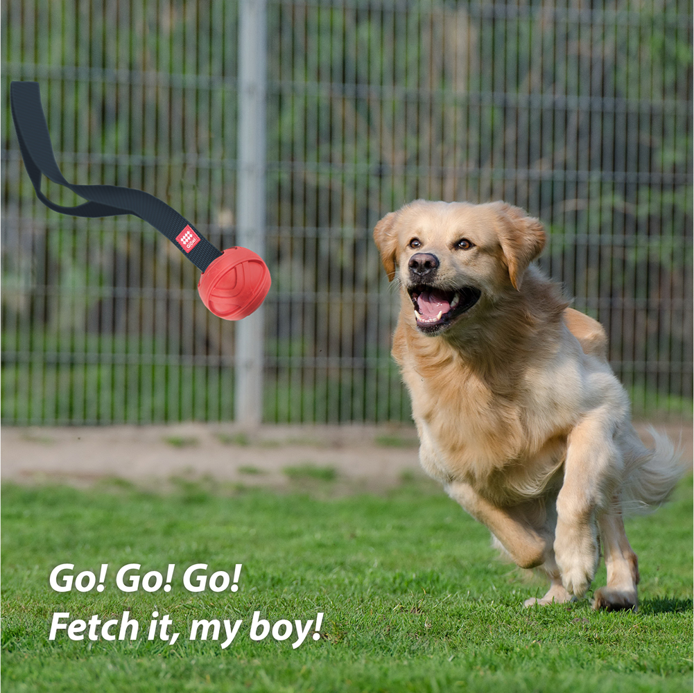 GiGwi Go! Fetch Slinger Ball Toy for Dogs (Red) Dogs-Toys GiGwi