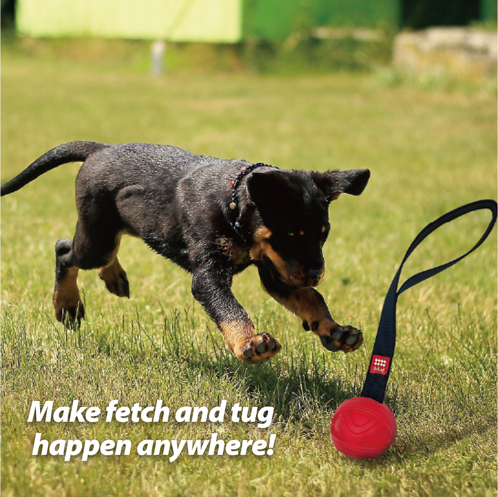 GiGwi Go! Fetch Slinger Ball Toy for Dogs (Red) Dogs-Toys GiGwi