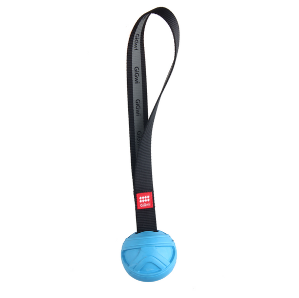 GiGwi Go! Fetch Slinger Ball Toy for Dogs (Blue)
